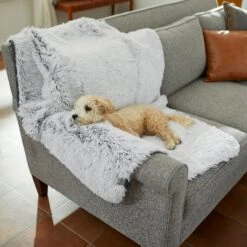 Frisco Sofa Pet Bed With Removable Cover & Frisco Eyelash Cat & Dog Blanket 17 Frisco Sofa Pet Bed With Removable Cover & Frisco Eyelash Cat & Dog Blanket -PetSafe Shop Sale 319504 PT8. AC SS1800 V1630629098