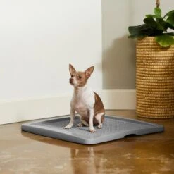 Frisco Training Pad Holder & Frisco Premium Dog Training & Potty Pads 13 Frisco Training Pad Holder & Frisco Premium Dog Training & Potty Pads -PetSafe Shop Sale 319526 PT4. AC SS1800 V1630624305