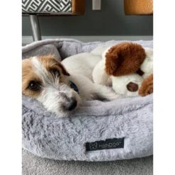 Nandog Cloud Collection Cat & Dog Bed -PetSafe Shop Sale 321768 PT5. AC SS1800 V1677171349