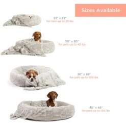 Best Friends By Sheri The Original Calming Donut Cat & Dog Bed & Throw Blanket -PetSafe Shop Sale 321946 PT2. AC SS1800 V1629485207