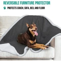 PetAmi Sherpa Cat & Dog Blanket -PetSafe Shop Sale 326482 PT4. AC SS1800 V1631837202