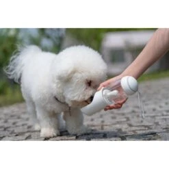 Pet Life PYURE Handheld Travel Filtered Water Dog & Cat Feeder -PetSafe Shop Sale 328514 PT4. AC SS1800 V1631312222
