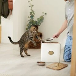 Frisco Premium Airtight Dog & Cat Food Storage Canister With Scoop 9 Frisco Premium Airtight Dog & Cat Food Storage Canister With Scoop -PetSafe Shop Sale 331486 PT3. AC SS1800 V1657656891