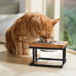 Frisco Premium Wood Elevated Single Dog & Cat Bowl 10 Frisco Premium Wood Elevated Single Dog & Cat Bowl -PetSafe Shop Sale 331493 PT3. AC SS1800 V1657656892