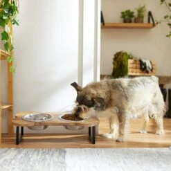 Frisco Premium Wood Elevated Bone Shape Stainless Steel Double Diner Dog & Cat Bowl, 3 Cup 8 Frisco Premium Wood Elevated Bone Shape Stainless Steel Double Diner Dog & Cat Bowl, 3 Cup -PetSafe Shop Sale 331497 PT2. AC SS1800 V1657656892