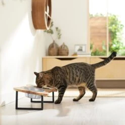 Frisco Premium Wood Elevated Bone Shape Stainless Steel Double Diner Dog & Cat Bowl, 3 Cup 9 Frisco Premium Wood Elevated Bone Shape Stainless Steel Double Diner Dog & Cat Bowl, 3 Cup -PetSafe Shop Sale 331497 PT3. AC SS1800 V1657656892