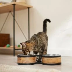 Frisco Premium Elevated Bone Design Stainless Steel Double Diner Dog & Cat Bowl -PetSafe Shop Sale 331499 PT3. AC SS1800 V1657656892