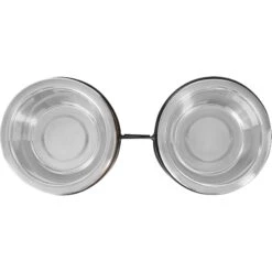 Frisco Premium Elevated Bone Design Stainless Steel Double Diner Dog & Cat Bowl -PetSafe Shop Sale 331499 PT4. AC SS1800 V1657656892