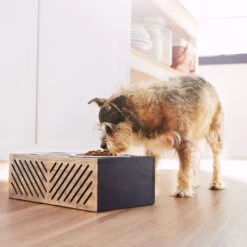 Frisco Premium Wood Elevated Stainless Steel Double Diner Dog & Cat Bowl, Black, 3 Cup 8 Frisco Premium Wood Elevated Stainless Steel Double Diner Dog & Cat Bowl, Black, 3 Cup -PetSafe Shop Sale 331509 PT2. AC SS1800 V1657656894