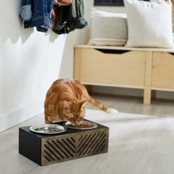 Frisco Premium Wood Elevated Stainless Steel Double Diner Dog & Cat Bowl, Black, 3 Cup 9 Frisco Premium Wood Elevated Stainless Steel Double Diner Dog & Cat Bowl, Black, 3 Cup -PetSafe Shop Sale 331509 PT3. AC SS1800 V1657656894