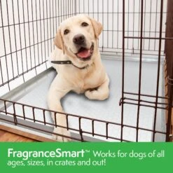 Simple Solution FragranceSmart Odor Control All Day, Green Tea Fragrance Odor Neutralizer With Wetness Indicator Dog Pads, 100 Count -PetSafe Shop Sale 339752 PT5. AC SS1800 V1636062089