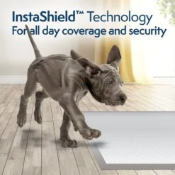 Simple Solution FragranceSmart Odor Control Green Tea Fragrance Odor Neutralizer With Wetness Indicator Puppy Training Pads, 100 Count -PetSafe Shop Sale 339754 PT3. AC SS1800 V1636061819