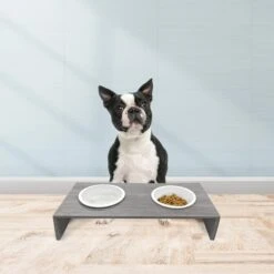 Cosmo Furbabies Double Dog & Cat Diner, Gray -PetSafe Shop Sale 341993 PT5. AC SS1800 V1636063012