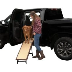Pet Gear Ultra-Lite Free-Standing Dog Ramp & Extension