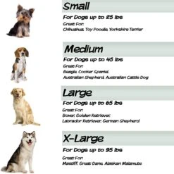 Pet Adobe Foam Covered Dog Bed -PetSafe Shop Sale 344921 PT4. AC SS1800 V1637283704