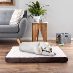 Pet Adobe Bamboo Charcoal-Infused Foam Covered Dog Bed -PetSafe Shop Sale 344923 PT5. AC SS1800 V1637280823