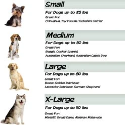 Pet Adobe Cot-Style Elevated Pet Bed -PetSafe Shop Sale 344932 PT4. AC SS1800 V1637282828