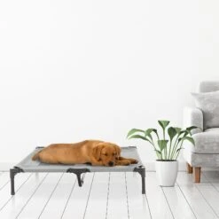 Pet Adobe Cot-Style Elevated Pet Bed -PetSafe Shop Sale 344932 PT6. AC SS1800 V1637285803