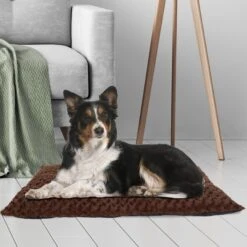 Pet Adobe Cushioned Covered Dog Bed -PetSafe Shop Sale 344955 PT4. AC SS1800 V1637280158