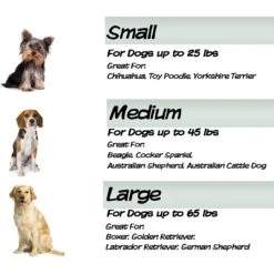 Pet Adobe Cushioned Covered Dog Bed -PetSafe Shop Sale 344955 PT5. AC SS1800 V1637287678