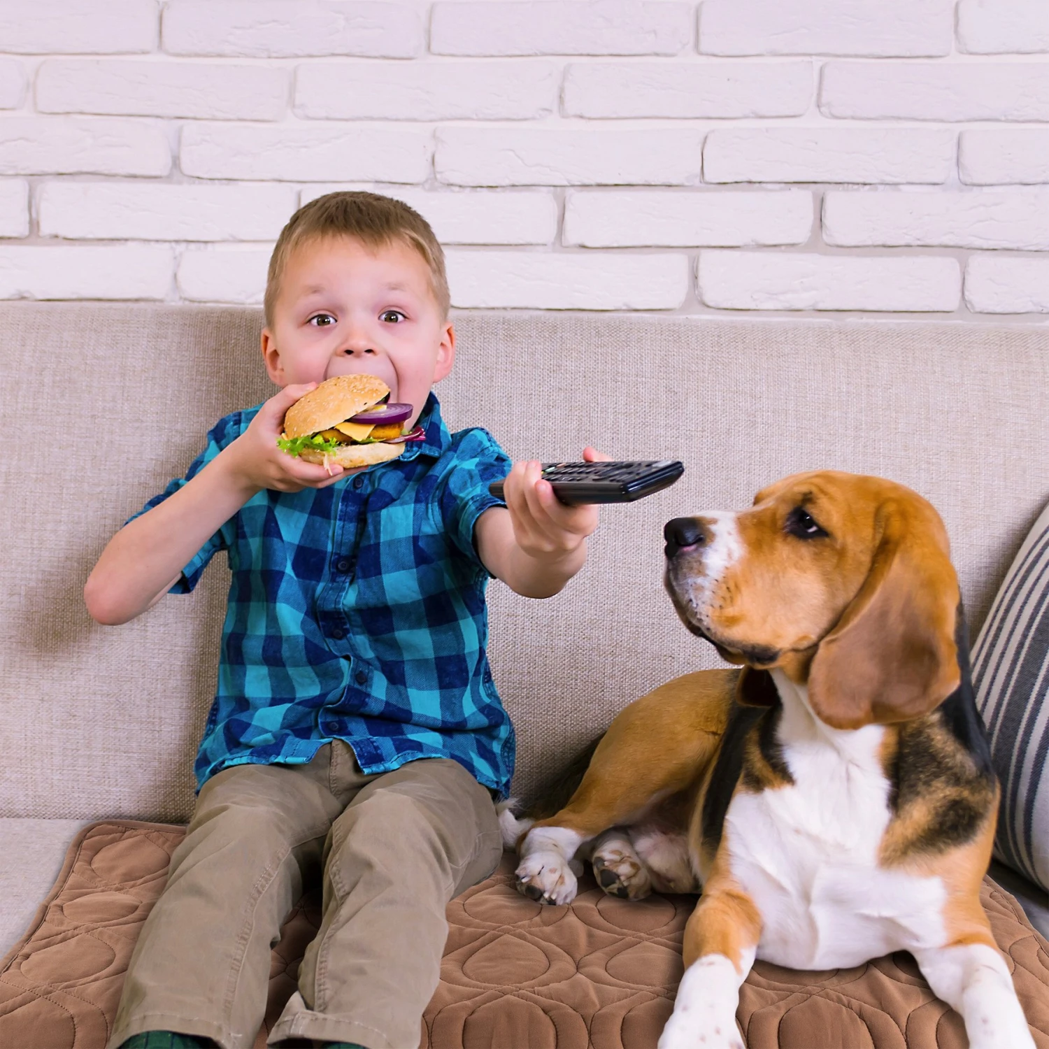 Pet Adobe Furniture Cover & Protector Pad 4 Pet Adobe Furniture Cover & Protector Pad - Image 4