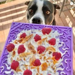 SodaPup Emat Bones Dog Lick Mat -PetSafe Shop Sale 346969 PT3. AC SS1800 V1638305499