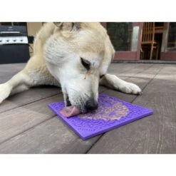 SodaPup Emat Bones Dog Lick Mat -PetSafe Shop Sale 346969 PT5. AC SS1800 V1638312691