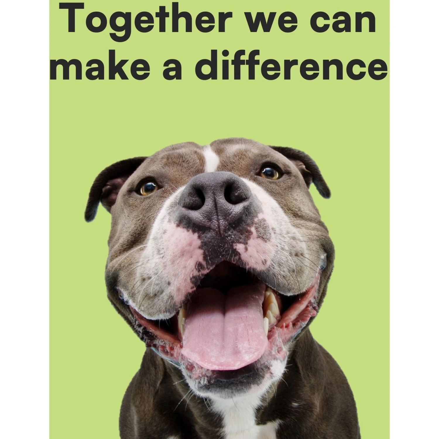 MyEcoPet Compostable Dispenser & Dog Waste Bags, 30 Count 5 MyEcoPet Compostable Dispenser & Dog Waste Bags, 30 Count - Image 5