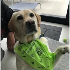 MyEcoPet Compostable Dog Poop Bags -PetSafe Shop Sale 347187 PT6. AC SS1800 V1670615326