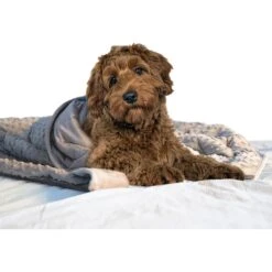 Archstone Pets Weighted Dog & Cat Blanket, Gray 7 Archstone Pets Weighted Dog & Cat Blanket, Gray -PetSafe Shop Sale 349099 PT2. AC SS1800 V1641920719