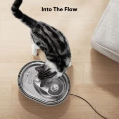 Petlibro Stainless Steel Dog & Cat Water Fountain, 2-L 17 Petlibro Stainless Steel Dog & Cat Water Fountain, 2-L -PetSafe Shop Sale 352550 PT8. AC SS1800 V1689084885