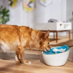 Frisco Ceramic Clouds Dog & Cat Fountain 10 Frisco Ceramic Clouds Dog & Cat Fountain -PetSafe Shop Sale 355803 PT4. AC SS1800 V1665684810