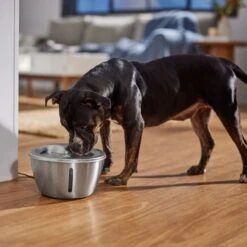 Frisco Stainless Steel Heart Dog & Cat Fountain -PetSafe Shop Sale 355816 PT5. AC SS1800 V1665684540