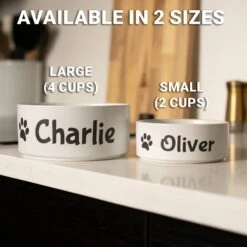 GoTags Personalized Dog Bowl, White -PetSafe Shop Sale 357167 PT3. AC SS1800 V1645492007