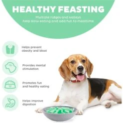 Outward Hound Fun Feeder Wobble Slo-Bowl Dog Bowl, Mint 9 Outward Hound Fun Feeder Wobble Slo-Bowl Dog Bowl, Mint -PetSafe Shop Sale 363002 PT3. AC SS1800 V1694286714