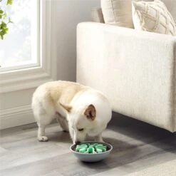 Outward Hound Fun Feeder Wobble Slo-Bowl Dog Bowl, Mint 11 Outward Hound Fun Feeder Wobble Slo-Bowl Dog Bowl, Mint -PetSafe Shop Sale 363002 PT5. AC SS1800 V1694287364