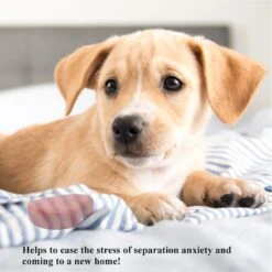 Pet Fit For Life Calming Dog Heartbeat Unit, Red, Small 9 Pet Fit For Life Calming Dog Heartbeat Unit, Red, Small -PetSafe Shop Sale 363335 PT4. AC SS1800 V1642776090