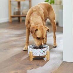 Frisco Elevated Terrazzo Non-skid Ceramic Bowl With Bamboo Stand -PetSafe Shop Sale 363375 PT2. AC SS1800 V1657657266