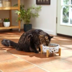 Frisco Elevated Terrazzo Non-skid Ceramic Bowl With Bamboo Stand -PetSafe Shop Sale 363375 PT3. AC SS1800 V1658182548