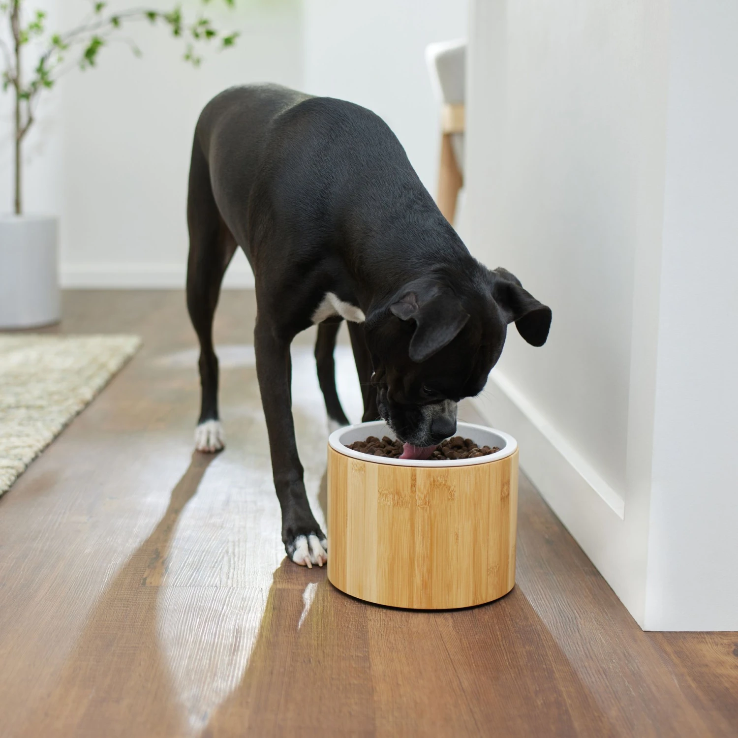 Frisco Elevated Non-Skid Bamboo Melamine Dog Bowl With Bamboo Stand 2 Frisco Elevated Non-Skid Bamboo Melamine Dog Bowl With Bamboo Stand - Image 2