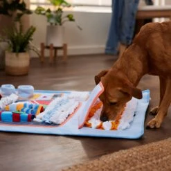 Frisco Vending Machine Snuffle Mat, Blue, Large -PetSafe Shop Sale 363397 PT2. AC SS1800 V1660750518