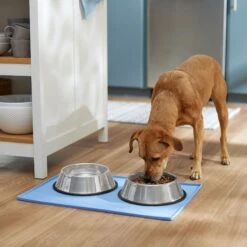 Frisco Silicone Dog & Cat Food Mat, Blue 9 Frisco Silicone Dog & Cat Food Mat, Blue -PetSafe Shop Sale 363399 PT2. AC SS1800 V1660750522