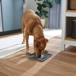 Frisco Non-skid Square Silicone Dog & Cat Lick Mat -PetSafe Shop Sale 363402 PT2. AC SS1800 V1668118082
