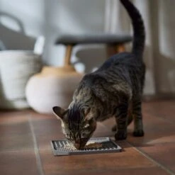 Frisco Non-skid Square Silicone Dog & Cat Lick Mat -PetSafe Shop Sale 363402 PT3. AC SS1800 V1665170734