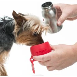 KONG H2O Dog Stainless Steel Bottle 6 KONG H2O Dog Stainless Steel Bottle -PetSafe Shop Sale 364070 PT2. AC SS1800 V1643837546