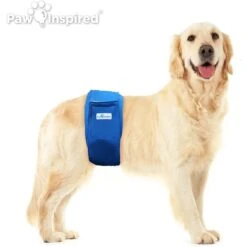Paw Inspired Belly Band Male Washable Wrap Dog Diaper -PetSafe Shop Sale 364119 PT3. AC SS1800 V1643819814