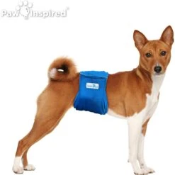 Paw Inspired Belly Band Male Dog Wrap Washable -PetSafe Shop Sale 364124 PT3. AC SS1800 V1643818925