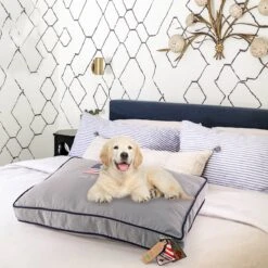 Precious Tails "Dog Bless Ameria" Orthopedic Pillow Cat & Dog Bed With Removable Cover 15 Precious Tails "Dog Bless Ameria" Orthopedic Pillow Cat & Dog Bed With Removable Cover -PetSafe Shop Sale 366573 PT7. AC SS1800 V1644377793
