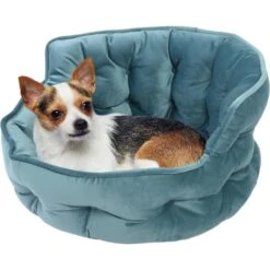 Precious Tails Ultra Plush Mini Tufted Velvet Round Bolster Cat & Dog Bed -PetSafe Shop Sale 366697 PT2. AC SS1800 V1644371548