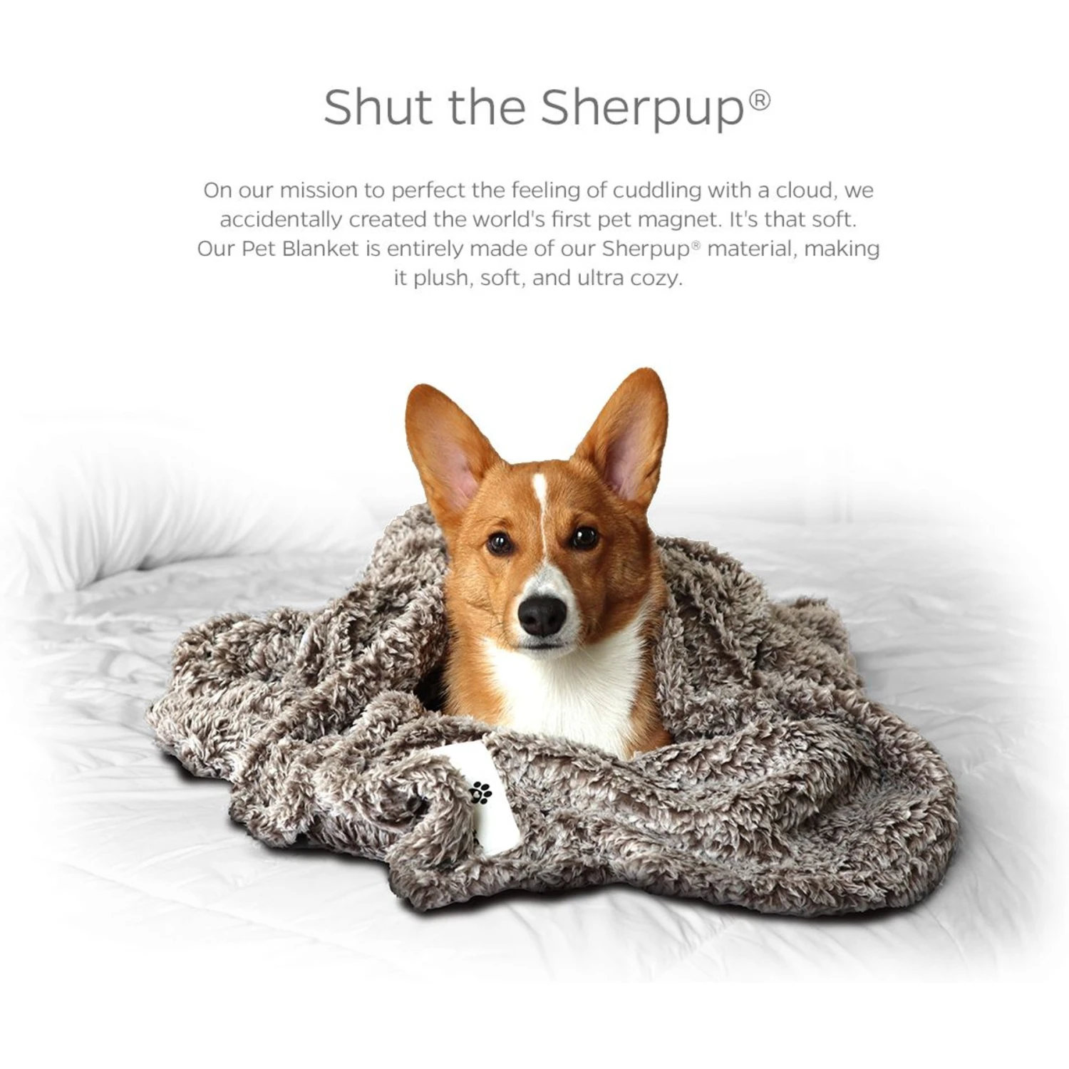 Pet Parents Premium Cat & Dog Blanket 2 Pet Parents Premium Cat & Dog Blanket - Image 2